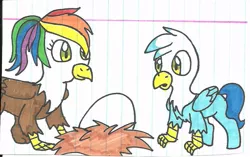 Size: 921x578 | Tagged: safe, artist:cmara, derpibooru import, oc, oc:gren, oc:rainbow feather, unofficial characters only, classical hippogriff, gryphon, hippogriff, brother and sister, colt, cute, egg, foal, interspecies offspring, lined paper, magical lesbian spawn, male, offspring, parent:gilda, parent:rainbow dash, parents:gildash, traditional art