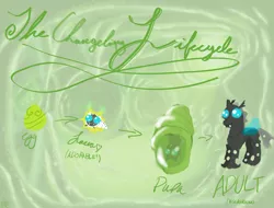 Size: 4698x3570 | Tagged: ambiguous gender, artist:icarys, changeling, changeling egg, changeling larva, cocoon, cuteling, derpibooru import, drawn on phone, grub, larva, life cycle, lifecycle, pupa, safe, the times they are a changeling