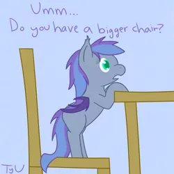 Size: 900x900 | Tagged: safe, artist:tyrannisumbra, derpibooru import, oc, oc:silver wing (batpony), unofficial characters only, bat pony, pony, chair, female, furniture, simple background, solo, table