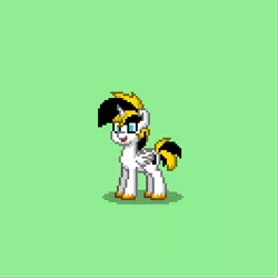 Size: 400x400 | Tagged: safe, derpibooru import, oc, oc:thunder scratch, unofficial characters only, alicorn, pony, pony town, alicorn oc