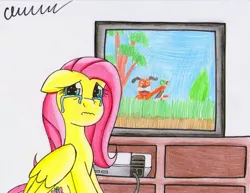 Size: 1024x792 | Tagged: artist:the1king, crying, derpibooru import, duck hunt, duck hunt dog, fluttershy, nintendo, nintendo entertainment system, op, op is fluttershy, sad, safe, solo, television, this ended in tears, this pony needs a hug