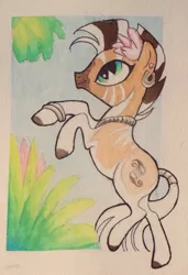 Size: 600x876 | Tagged: animal in mlp form, artist:peachykeenponies, derpibooru import, flower, jewelry, necklace, oc, oc:nia the quagga, quagga, rearing, safe, unofficial characters only