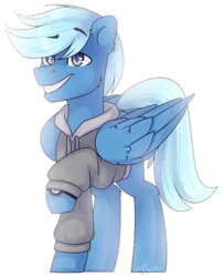 Size: 1024x1270 | Tagged: safe, artist:starlyflygallery, derpibooru import, oc, unofficial characters only, pegasus, pony, clothes, hoodie, jack harkness, solo