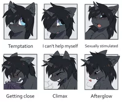 Size: 1280x1078 | Tagged: suggestive, artist:hioshiru, derpibooru import, oc, oc:kate, oc:max, unofficial characters only, pony, :o, :p, afterglow, bedroom eyes, blushing, doggy style, drawing meme, ear fluff, expressions, eyes closed, floppy ears, fluffy, from behind, grin, gritted teeth, heart, implied sex, lewd emotions, licking, licking lips, male, one eye closed, open mouth, orgasm, panting, smiling, snorting, solo, solo male, stallion, tongue out