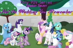 Size: 1024x683 | Tagged: safe, artist:rose-laxzi, derpibooru import, lyra heartstrings, minuette, queen chrysalis, rarity, shining armor, spike, sweetie belle, trixie, twilight sparkle, twinkleshine, pony, unicorn, pony pov series, female, mare