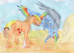 Size: 4916x3532 | Tagged: safe, artist:dawn22eagle, derpibooru import, applejack, rainbow dash, earth pony, pegasus, pony, alternate timeline, alternate universe, amputee, apocalypse, apocalypse dash, appledash, armor, augmented, colored hooves, crying, crystal war timeline, duo, female, floating, flying, lesbian, mare, prosthetic limb, prosthetic wing, prosthetics, rainbow feathers, shipping, signature, socks (coat marking), tail feathers, unshorn fetlocks, wings