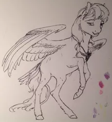 Size: 400x434 | Tagged: safe, artist:cuttledreams, derpibooru import, oc, unnamed oc, unofficial characters only, pegasus, pony, hair tie, lineart, solo, tail feathers, traditional art, unshorn fetlocks