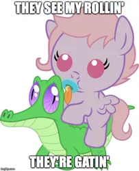Size: 500x615 | Tagged: safe, artist:red4567, derpibooru import, edit, gummy, oc, oc:melody notes, pony, baby, baby pony, chamillionaire, cute, gummybetes, image macro, meme, ponies riding gators, pun, ridin, song reference, they see me rollin'