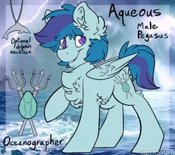 Size: 1801x1593 | Tagged: safe, artist:iroxykun, derpibooru import, oc, oc:aqueous, unofficial characters only, dolphin, pegasus, pony, chest fluff, cutie mark, jewelry, male, necklace, reference sheet, solo, stallion, text, wings