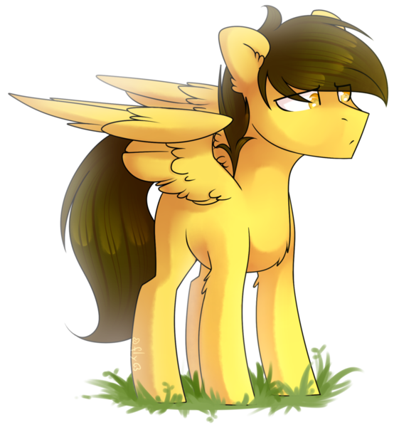 Size: 1024x1109 | Tagged: safe, artist:starlyflygallery, derpibooru import, oc, unofficial characters only, pegasus, pony, solo