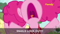Size: 1599x899 | Tagged: safe, derpibooru import, official, screencap, pinkie pie, pony, buckball season, discovery family logo, flailing, nose in the air, pinktails pie, screaming, subtitles, volumetric mouth