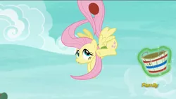 Size: 1920x1080 | Tagged: safe, derpibooru import, screencap, fluttershy, pony, buckball season