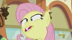 Size: 1067x593 | Tagged: safe, derpibooru import, screencap, fluttershy, pony, buckball season, faic, flutterderp, great moments in animation