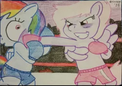 Size: 1080x757 | Tagged: artist:toyminator900, boxing, boxing gloves, bruised, derpibooru import, oc, oc:chip, oc:melody notes, rainbow dash, safe