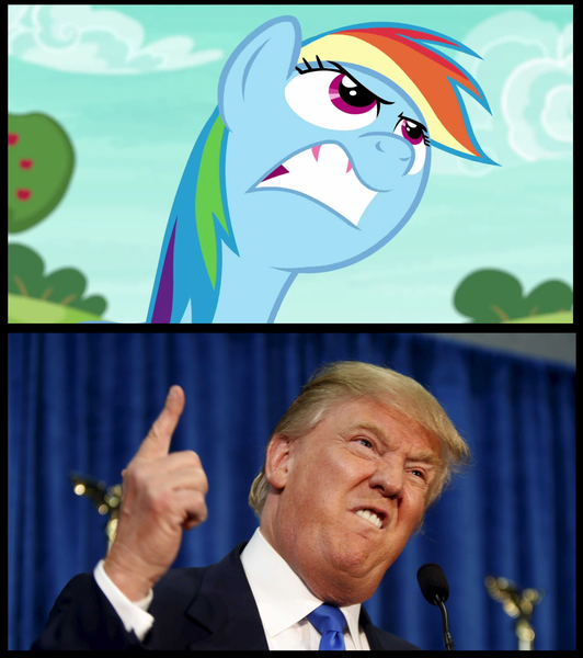 Size: 1472x1660 | Tagged: safe, derpibooru import, edit, edited screencap, screencap, rainbow dash, human, pegasus, pony, buckball season, angry, comparison, donald trump, irl, irl human, photo