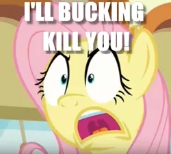 Size: 481x433 | Tagged: safe, derpibooru import, edit, edited screencap, screencap, fluttershy, buckball season, angry, caption, death threat, flutterrage, image macro, meme, threat