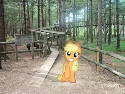 Size: 3648x2736 | Tagged: absurd file size, applejack, artist:harpycross, bridge, derpibooru import, forest, grin, hiking, irl, looking at you, photo, ponies in real life, raised hoof, safe, smiling, solo, trail