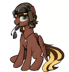 Size: 1280x1325 | Tagged: safe, artist:inlucidreverie, derpibooru import, oc, unofficial characters only, pegasus, pony, roan rpg, aviator glasses, helmet, jewelry, looking at you, necklace