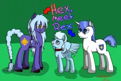 Size: 1500x1000 | Tagged: artist:aurumluxetal, collar, derpibooru import, oc, oc:clipeus rex, oc:hex weiss, oc:ice blaze, safe, unofficial characters only