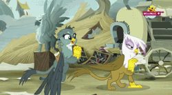 Size: 852x471 | Tagged: safe, derpibooru import, screencap, gabby, gilda, gryphon, the fault in our cutie marks, animated, cute, gabbybetes, gif, griffonstone, minimini, ponytail