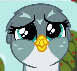 Size: 520x480 | Tagged: safe, derpibooru import, screencap, gabby, gryphon, the fault in our cutie marks, animated, cute, eye shimmer, flying, gabbybetes, gif, happy, looking at you, reaction image, smiling, solo