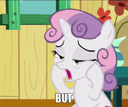 Size: 578x480 | Tagged: safe, derpibooru import, screencap, sweetie belle, pony, unicorn, the fault in our cutie marks, animated, caption, confused, cute, derp, diasweetes, faic, flower, gif, reaction image, solo, vase