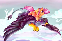 Size: 1092x731 | Tagged: safe, artist:sushimeep, derpibooru import, gabby, scootaloo, gryphon, pegasus, pony, the fault in our cutie marks, cute, cutealoo, cutie mark, duo, female, filly, flying, gabbybetes, ponies riding griffons, riding, scootalove, spread wings, the cmc's cutie marks, wings