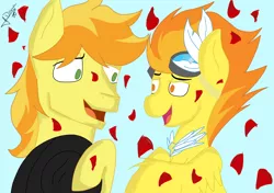 Size: 2338x1648 | Tagged: artist:didicom, braeburn, derpibooru import, hatless, male, missing accessory, petals, safe, shipping, spitburn, spitfire, straight