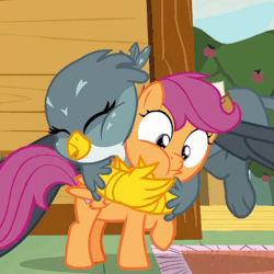Size: 500x500 | Tagged: safe, derpibooru import, screencap, gabby, scootaloo, gryphon, the fault in our cutie marks, animated, bear hug, eyes closed, floating, gif, hug