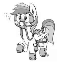 Size: 1280x1315 | Tagged: safe, artist:pabbley, derpibooru import, rainbow dash, pegasus, pony, bit, blinders, blushing, bridle, cute, dashabetes, grayscale, hoof boots, monochrome, question mark, reins, saddle, simple background, solo, tack, tail wrap, white background