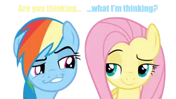 Size: 2400x1350 | Tagged: safe, derpibooru import, ambiguous shipping, ambiguous situation, faic, implied flutterdash, smug, smugdash, smugshy, text