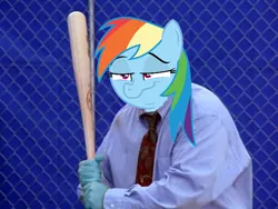 Size: 600x450 | Tagged: costanza face, derpibooru import, faic, ishygddt, rainbow dash, reaction image, safe, shiggy diggy, stranger than fan fiction