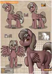Size: 1024x1462 | Tagged: safe, artist:jcosneverexisted, derpibooru import, oc, oc:copper crescendo, unofficial characters only, pegasus, pony, dock, featureless crotch, looking at you, plot, raised hoof, reference sheet, smiling, solo