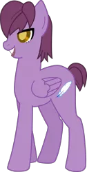 Size: 2516x4983 | Tagged: safe, artist:tokuberry, derpibooru import, ponified, hayabusa hideki, inazuma eleven, inazuma eleven go, simple background, solo, transparent background