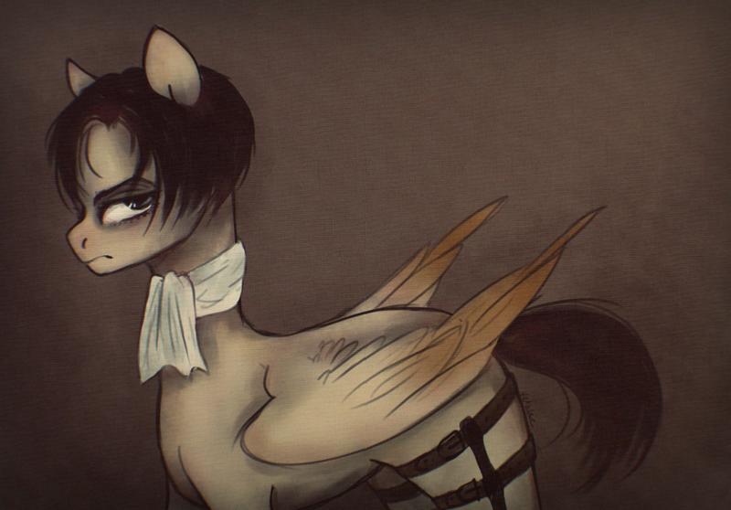 Size: 1431x998 | Tagged: safe, artist:vetallie, derpibooru import, ponified, pegasus, pony, attack on titan, levi ackerman, solo