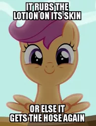 Size: 366x482 | Tagged: caption, cropped, cute, cutealoo, derpibooru import, dissonant caption, edit, edited screencap, happy, image macro, meme, safe, scootalo bill, scootaloo, screencap, silence of the lambs, the fault in our cutie marks