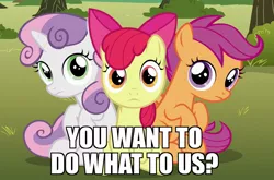Size: 915x604 | Tagged: adorabloom, apple bloom, caption, cute, cutealoo, cutie mark crusaders, derpibooru import, diasweetes, edit, edited screencap, image macro, looking at you, meme, safe, scootaloo, screencap, sitting, sweetie belle, the fault in our cutie marks, this will end in jail time, this will end in tears and/or death and/or covered in tree sap
