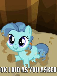 Size: 267x351 | Tagged: safe, derpibooru import, edit, edited screencap, screencap, petunia paleo, earth pony, pony, the fault in our cutie marks, animated, caption, cute, gif, joe dirt, meme, petuniabetes, scootalo bill, silence of the lambs, solo, subtitles, text