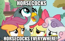 Size: 1115x709 | Tagged: suggestive, derpibooru import, edit, edited screencap, screencap, apple bloom, gabby, scootaloo, sweetie belle, earth pony, gryphon, pegasus, pony, unicorn, the fault in our cutie marks, caption, cutie mark crusaders, discovery family logo, female, filly, horsecock, hug, image macro, text, vulgar, x x everywhere