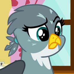 Size: 504x503 | Tagged: safe, derpibooru import, screencap, gabby, gryphon, the fault in our cutie marks, animated, blinking, confused, female, gif, raised eyebrow, solo
