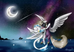 Size: 5714x4004 | Tagged: safe, artist:themagicfantasy, derpibooru import, oc, oc:digital dusk, oc:star seeker, unofficial characters only, pony, absurd resolution, moon, night