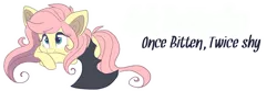 Size: 900x300 | Tagged: safe, artist:indiefoxtail, derpibooru import, fluttershy, bat pony, pony, askbattyshy, banner, cute, flutterbat, race swap, shyabetes, solo