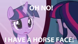 Size: 1920x1080 | Tagged: safe, derpibooru import, twilight sparkle, equestria girls, horseface, image macro, meme, mirror