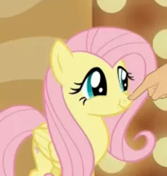 Size: 872x920 | Tagged: boop, boop edit, cute, daaaaaaaaaaaw, derpibooru import, edit, edited screencap, finger, fluttershy, hand, safe, screencap, shyabetes, viva las pegasus