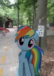 Size: 1000x1400 | Tagged: safe, artist:riniginianna, derpibooru import, apple bloom, rainbow dash, scootaloo, sweetie belle, human, building, cute, cutie mark crusaders, dashabetes, happy, irl, looking at you, park, photo, ponies in real life, shadow, sitting, smiling, speed sign, stop sign, tree, vector