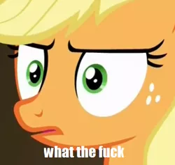 Size: 346x328 | Tagged: applejack, cropped, derpibooru import, edit, edited screencap, impact font, reaction image, safe, screencap, viva las pegasus, vulgar, wtf