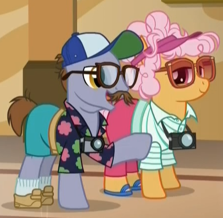 Size: 451x441 | Tagged: safe, derpibooru import, screencap, butterscotch sweets, country mile, pony, viva las pegasus, background pony, baseball cap, camera, clothes, glasses, hat, hawaiian shirt, sandals, shirt, shoes, shorts, socks, tourist, visor