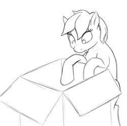 Size: 875x872 | Tagged: artist:norque, box, derpibooru import, generic pony, monochrome, newbie artist training grounds, safe, solo