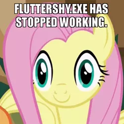 Size: 500x500 | Tagged: caption, cropped, derpibooru import, edit, edited screencap, fluttershy, las pegasus stare, meme, safe, screencap, thousand yard stare, viva las pegasus, x.exe stopped working