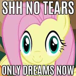 Size: 334x334 | Tagged: caption, derpibooru import, edit, edited screencap, faic, fluttershy, image macro, imminent rape, imminent sex, jimmies, las pegasus stare, looking at you, meme, no tears, reaction image, safe, screencap, smiling, solo, text, viva las pegasus